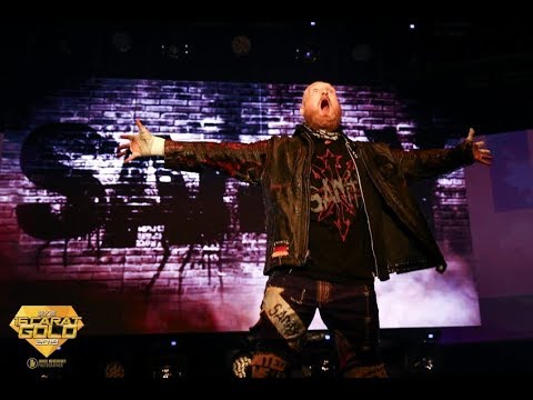 WWE Smackdown Superstar bei wXw 16 Carat Gold 2019 - Alexander Wolfe entrance