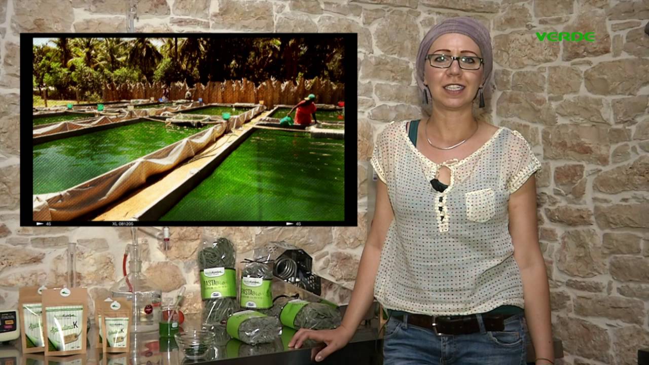 www.verdetv.tv - Spirulina