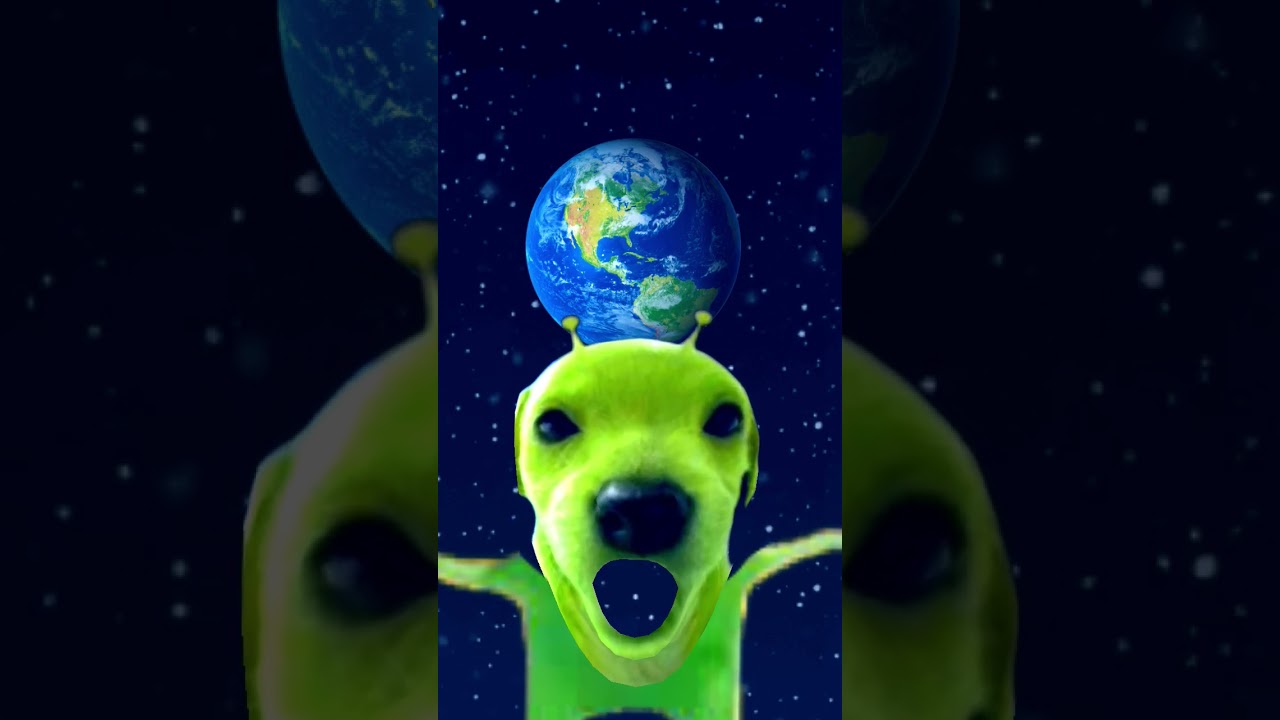 XD