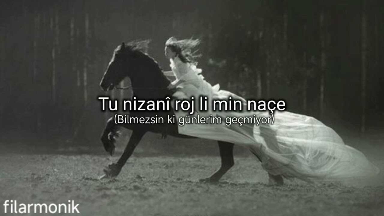 Xecê - Tu nizanî (Lyrics+Türkçesi)