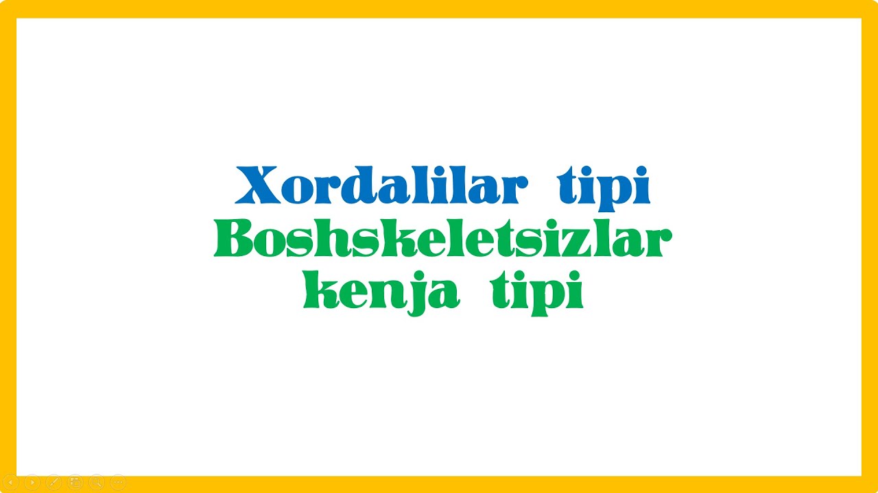 Xordalilar tipi || Boshskeletsizlar kenja tipi || Lansetnik
