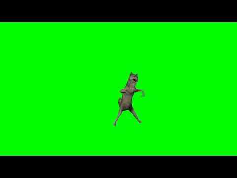 Yaşasın ırkımız çine bedel kırkımız green screen