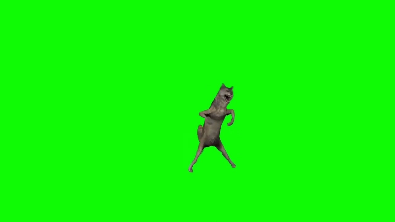 yaşasın ırkımız kurt green screen (sessiz)