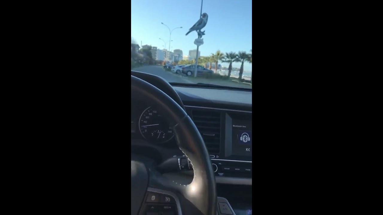 Yabancı Şarkı Araba Snapleri / Araba Storyleri / Gündüz araba snapi