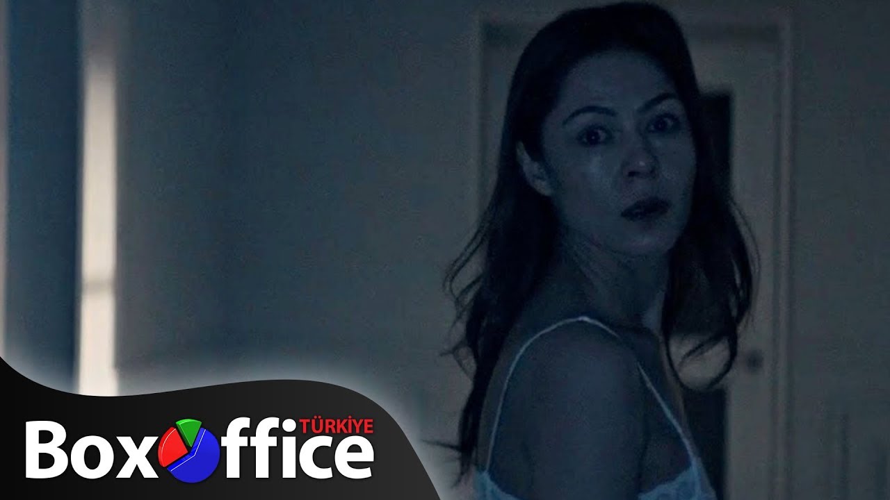 Yabani | Stray | Altyazılı Fragman