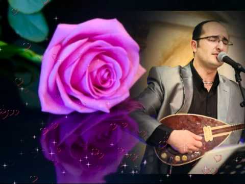 Yakov davidov - toy shavat  *new