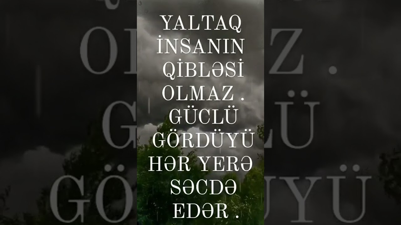 YALTAQ İNSANIN QİBLƏSİ OLMAZ