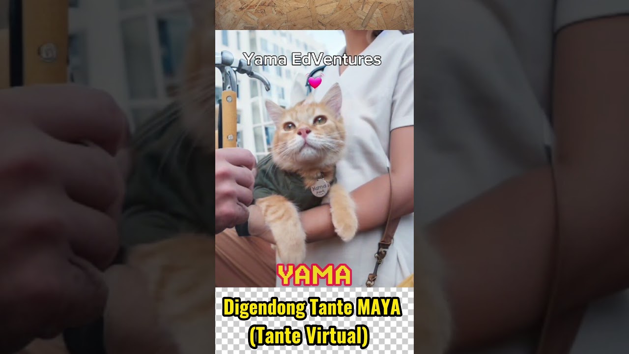 YAMA DIGENDONG TANTE MAYA. TANTE VIRTUAL.