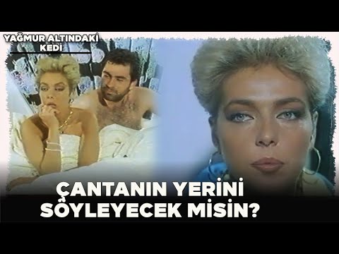 Yağmur Altındaki Kedi | Duygu, Hislerine Yenik Düşüyor!