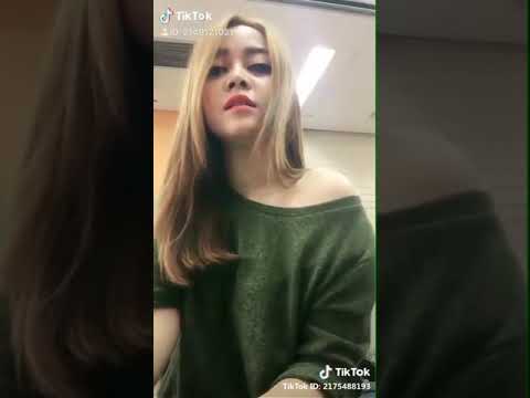 Yani sagita 