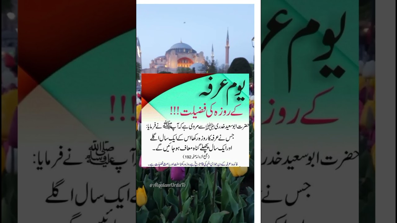 Yaome-e- Arfa Ki Fazeelat || #islamicshorts #quranandhadith #shorts
