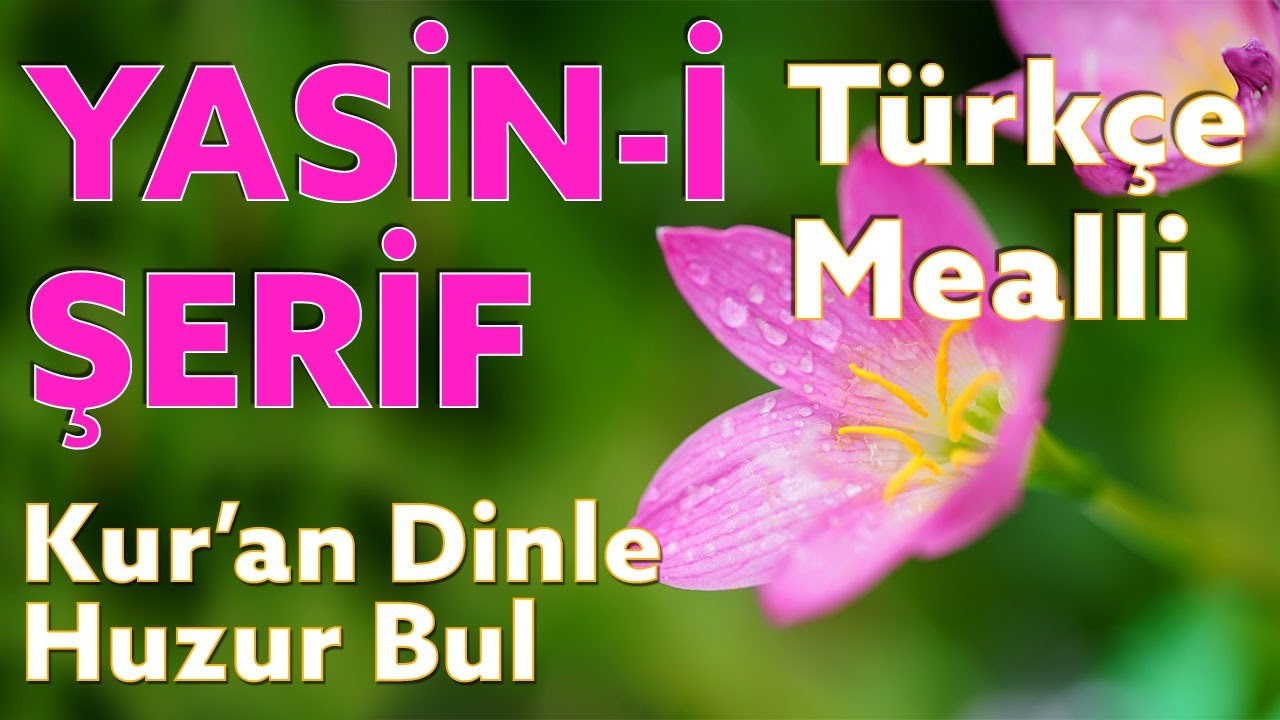 YASİN SURESİ Dinle / Muhteşem Okuyuş / Hafız Mustafa Uyar