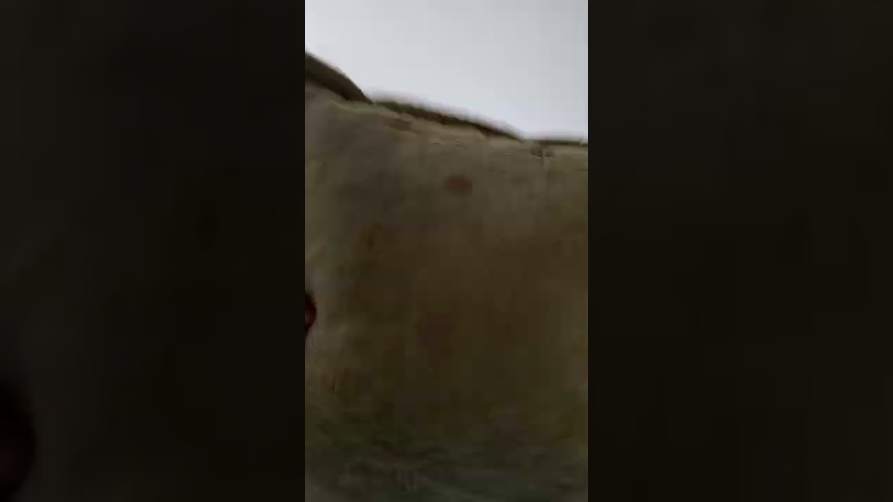 yastık dansı