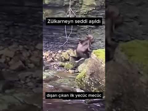 YECÜC MECÜC GERÇEK VİDEO