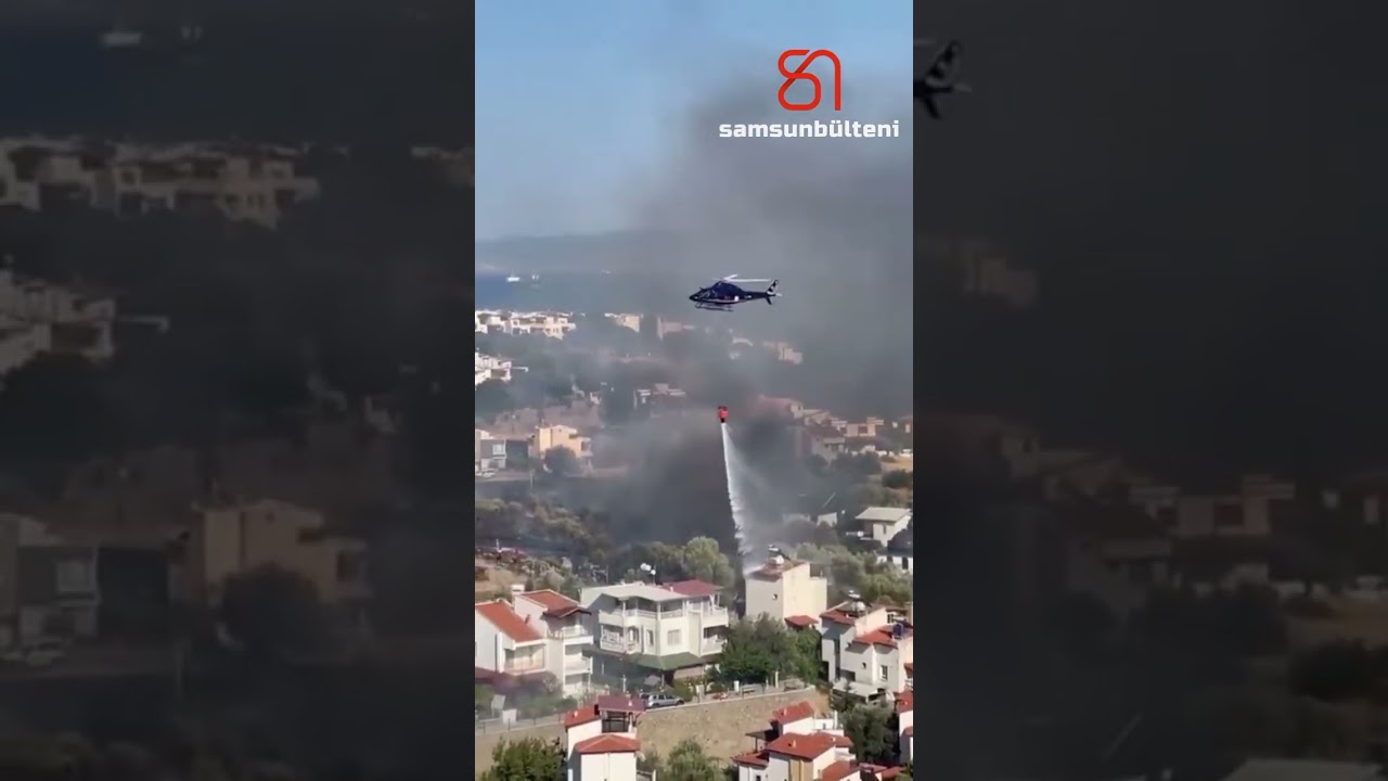YEŞİL VATAN NEFES ALDI: 8 YANGIN KONTROL ALTINA ALINDI #samsun #samsunhaber #gündem #shortvideo
