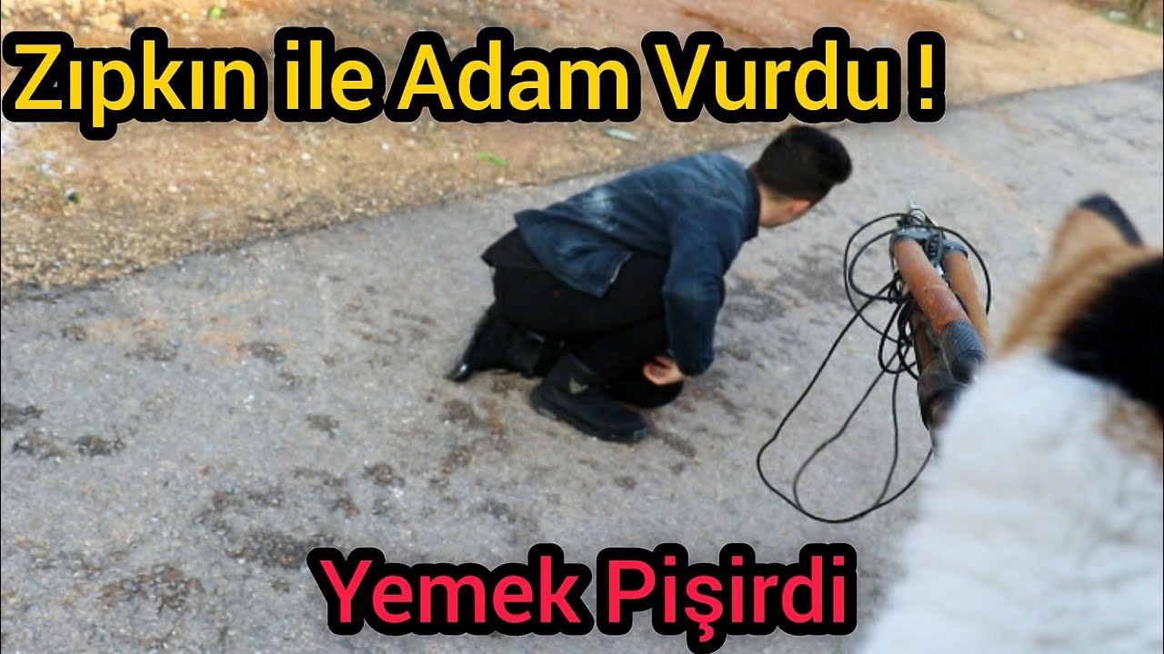 Yemek Yapan Konuşan Kedim Mırracan #8