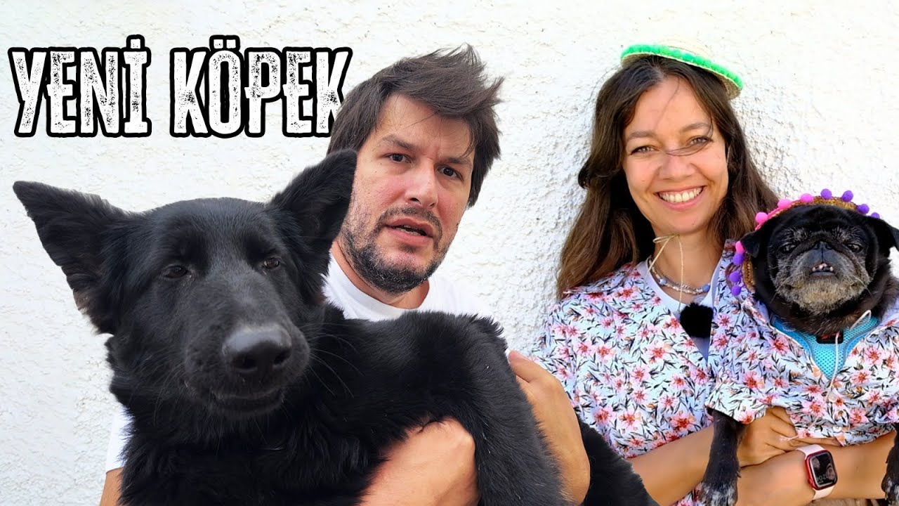 Yeni Köpeğimiz Değişik Joy !