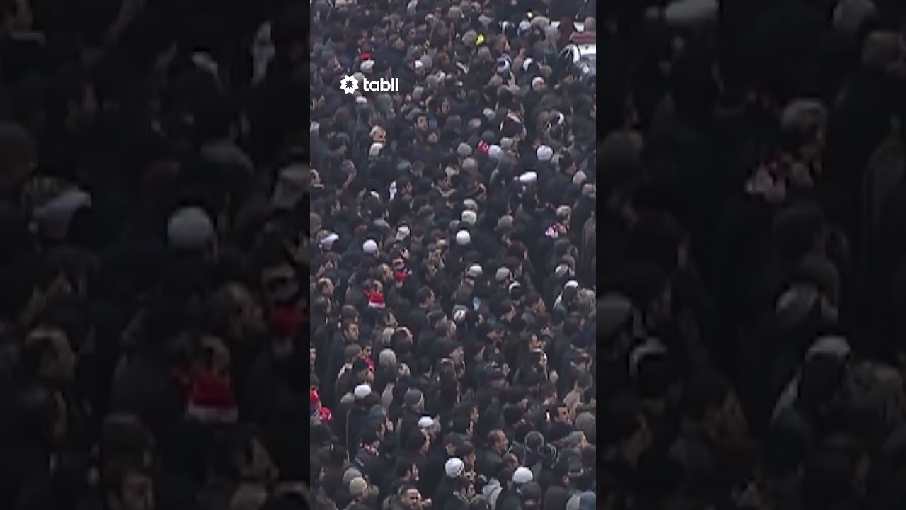 Yeni tabii orijinal belgeseli 