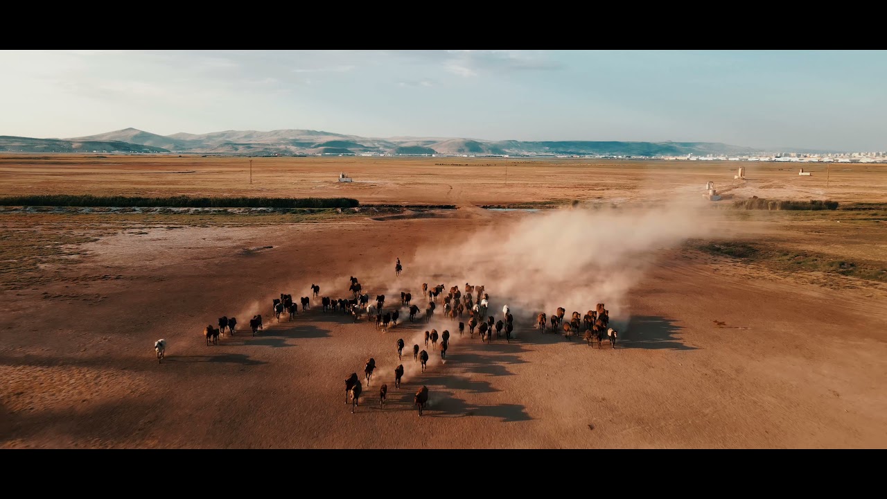 YILKI ATLARI / Cinematic Drone Video Footage / 4K Mavic Air 2 / Turkey Cappadocia / Wild Horse