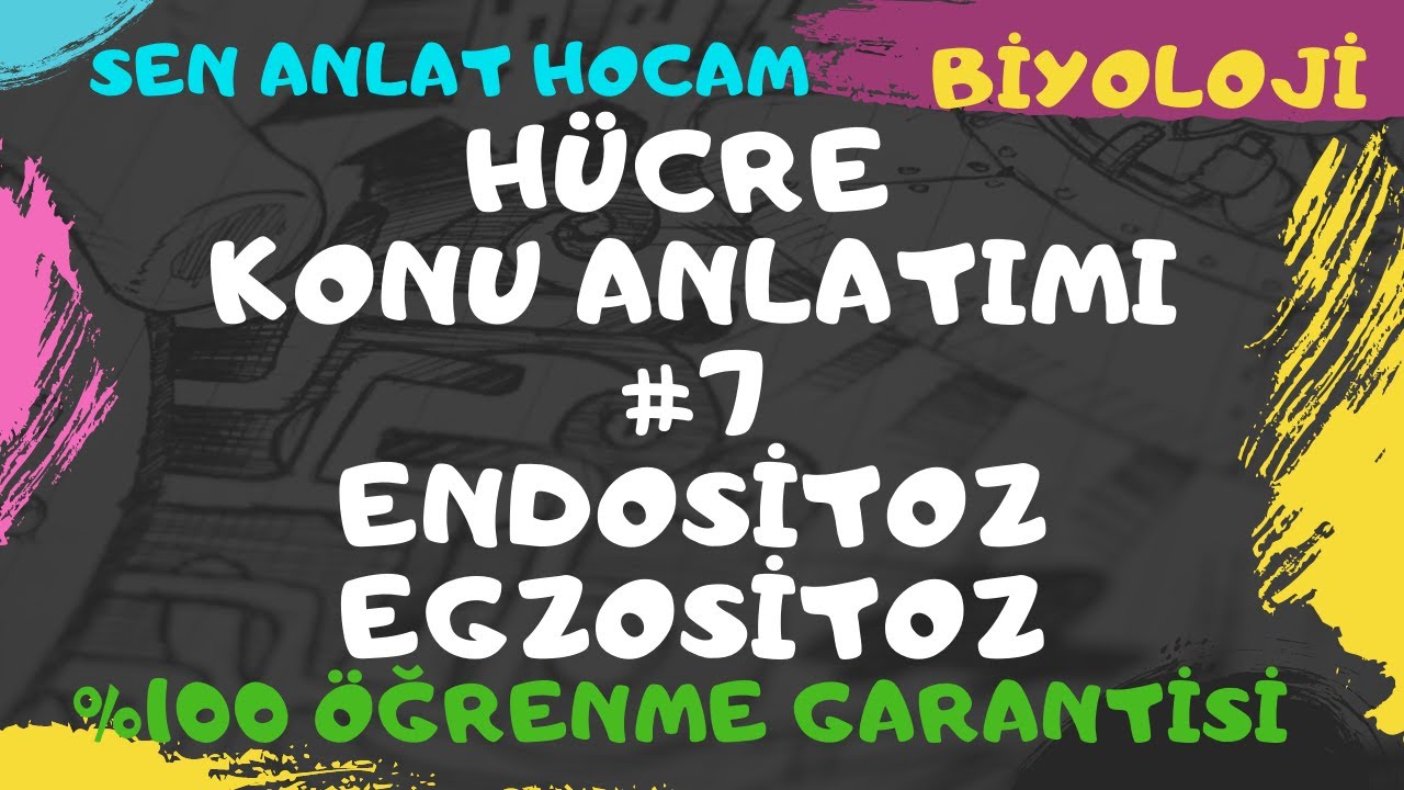 YKS HÜCRE KONU ANLATIMI | 7 | TURGOR- ENDOSİTOZ -EGZOSİTOZ | TYT BİYOLOJİ ✅