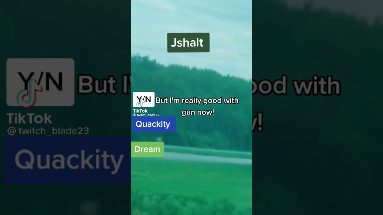 Y/n x The dreamsmp