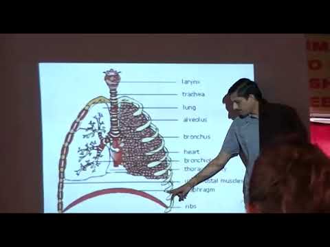 Yoga Lecture - Respiratory System