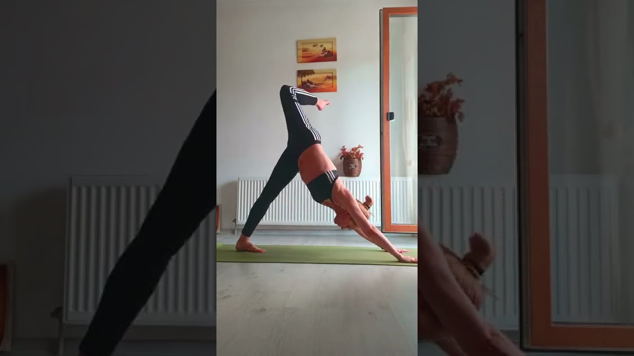 yoga morning 🌺🌅 for waking up