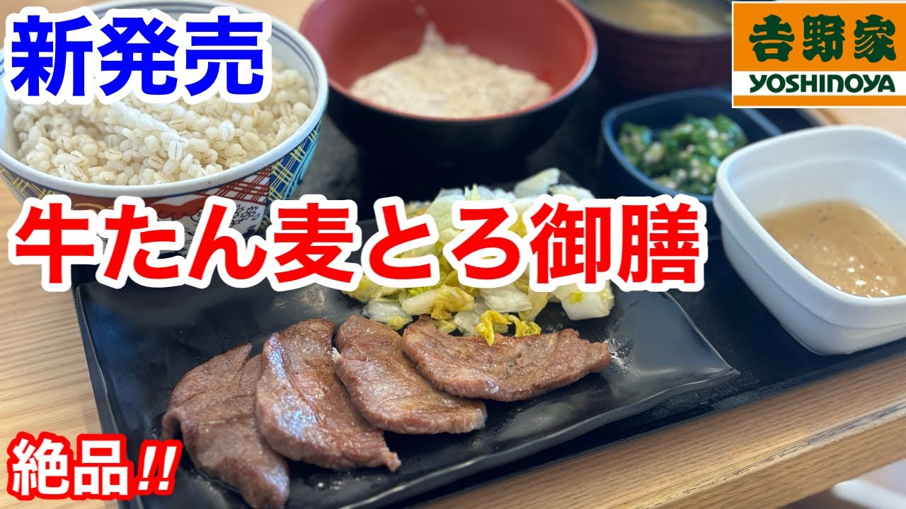 Yoshinoya's newly released 