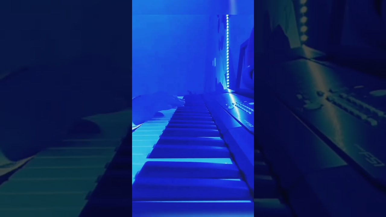 YOU CAN WIN IF YOU WANT - MODERN TALKING (intro by keyboard)