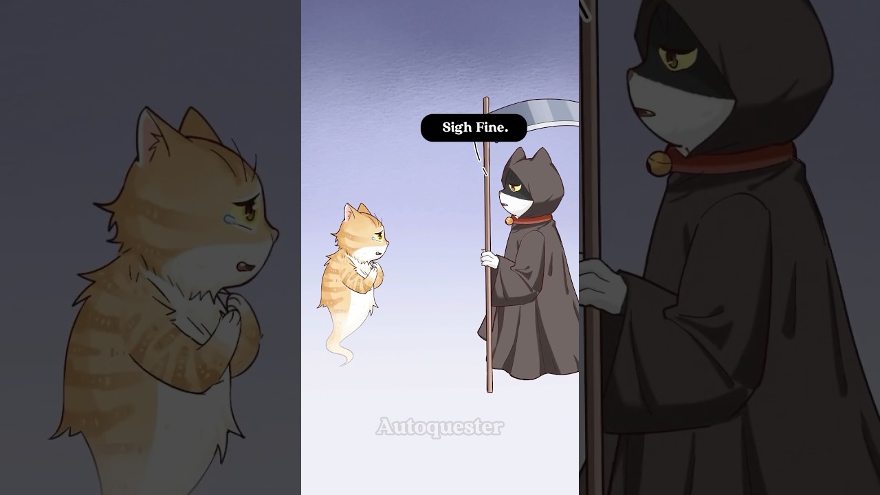 You don’t want to reincarnate? #cat #animals #death