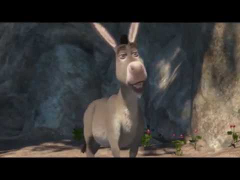 You f***ing Donkey!