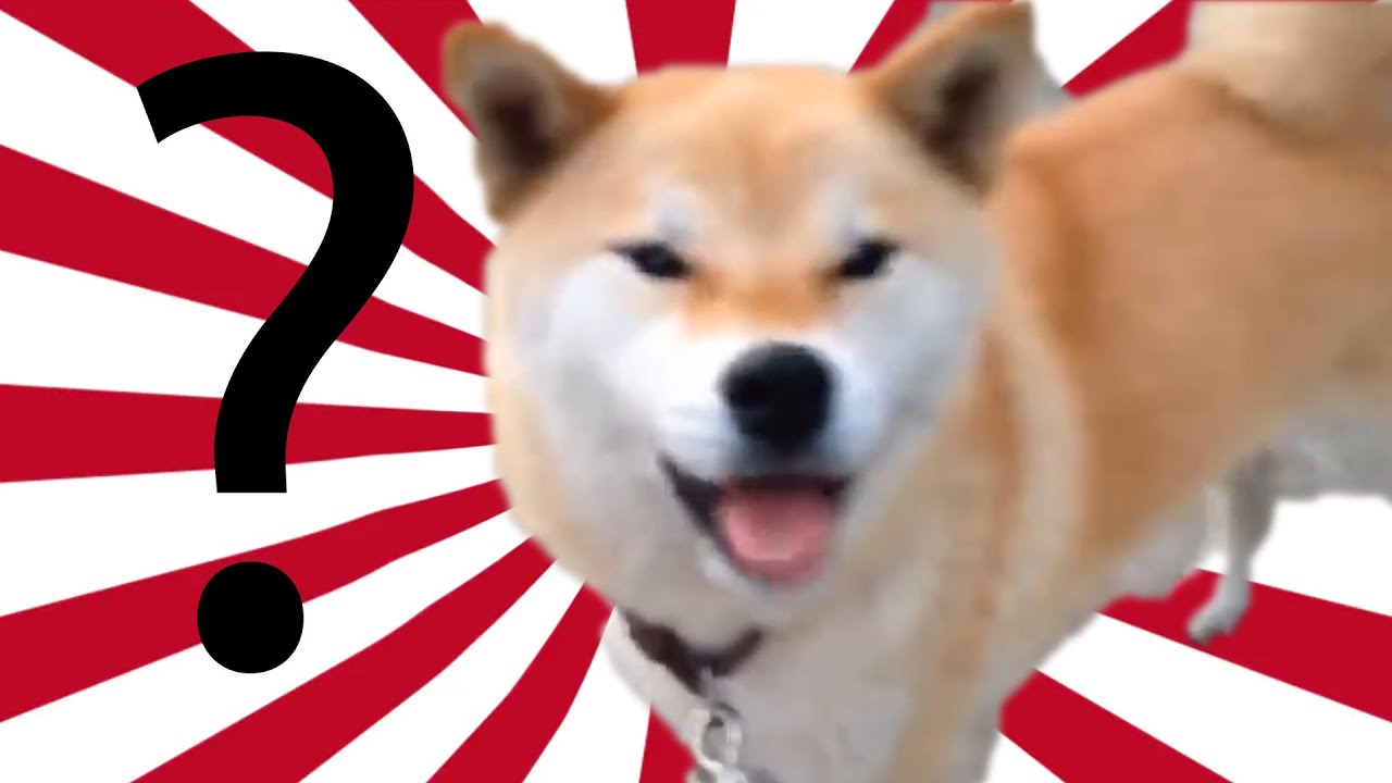 You spin me right round compilation #1