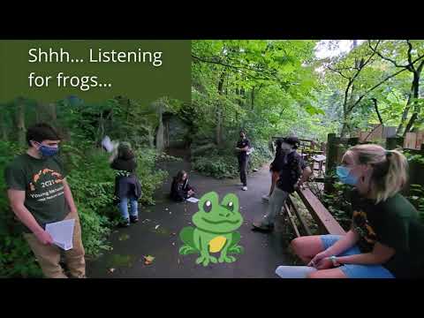 Young Naturalist Program 2021