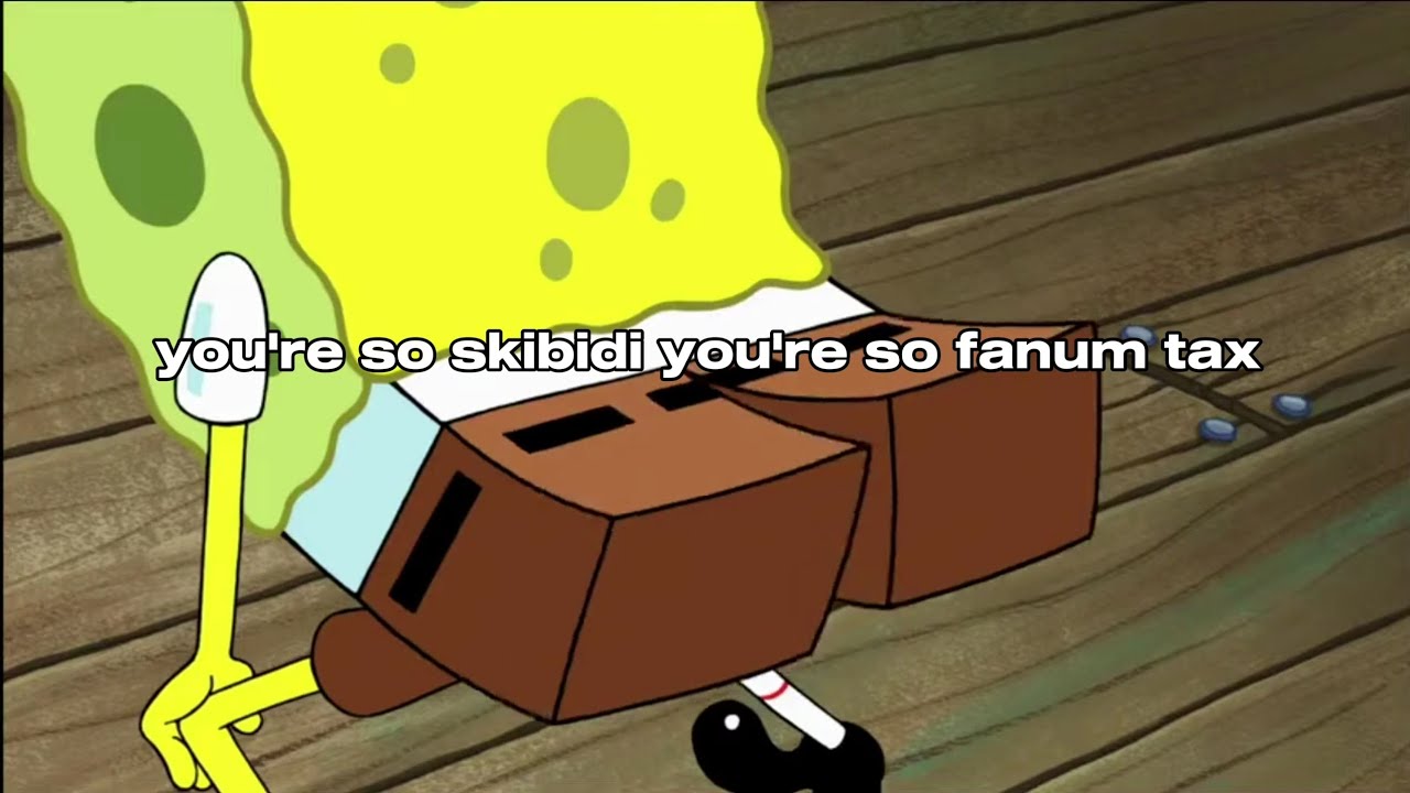 you're so skibidi lyric video