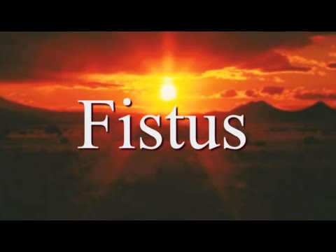 YouTube Kacke: Das Leben des Fistus (Director's Cock)