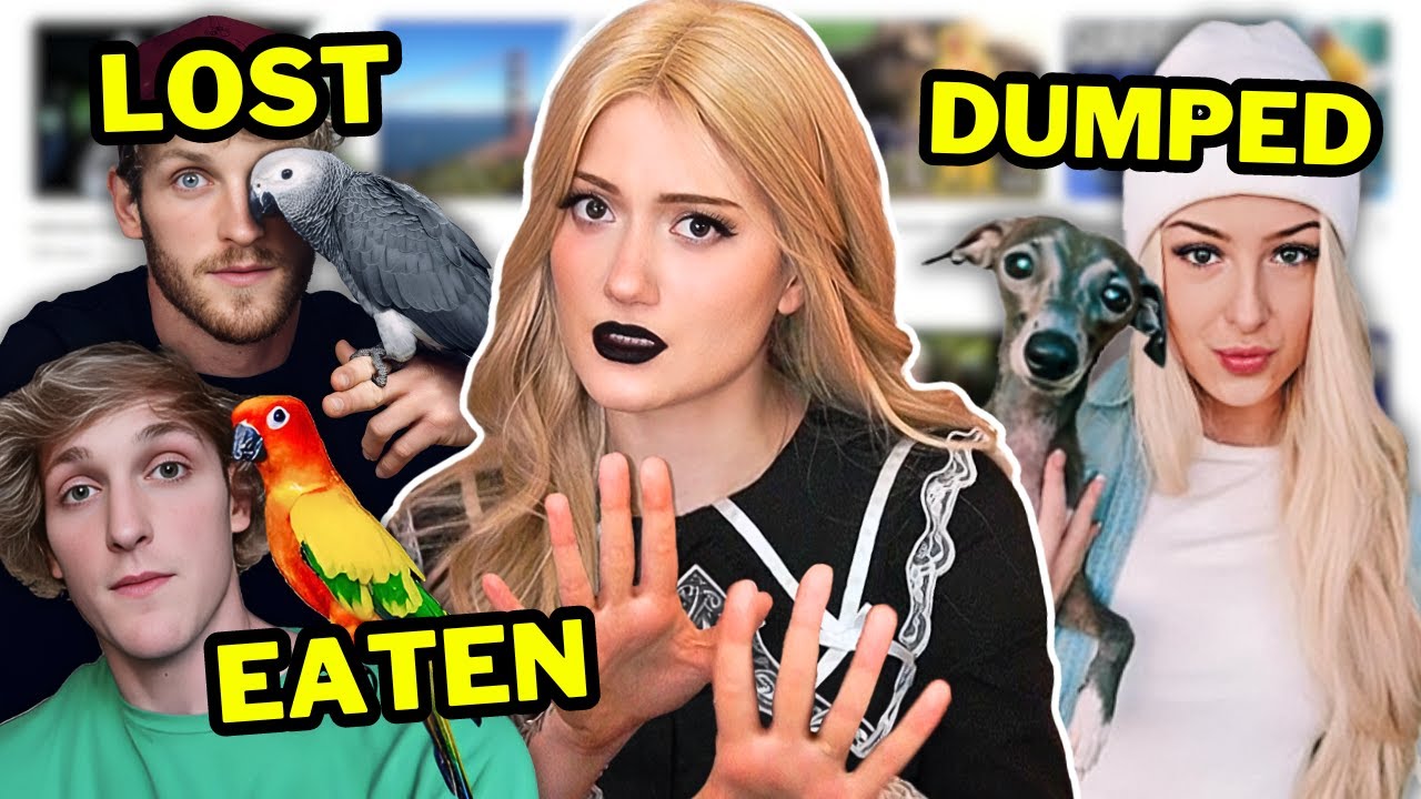 YouTubers SHOULDN'T Own Pets