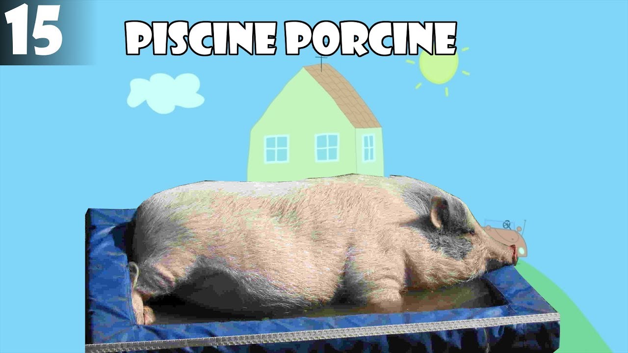 [YTP] PeppAÏE Pig Episode 15 : Piscine Porcine (Final Saison 3)