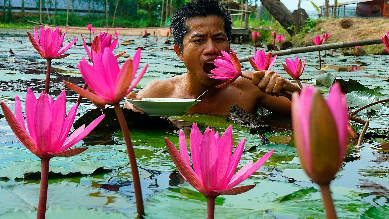 Yummy Eating Water Lily Flower | ASMR Eating Water Lilies Flower In Pond.