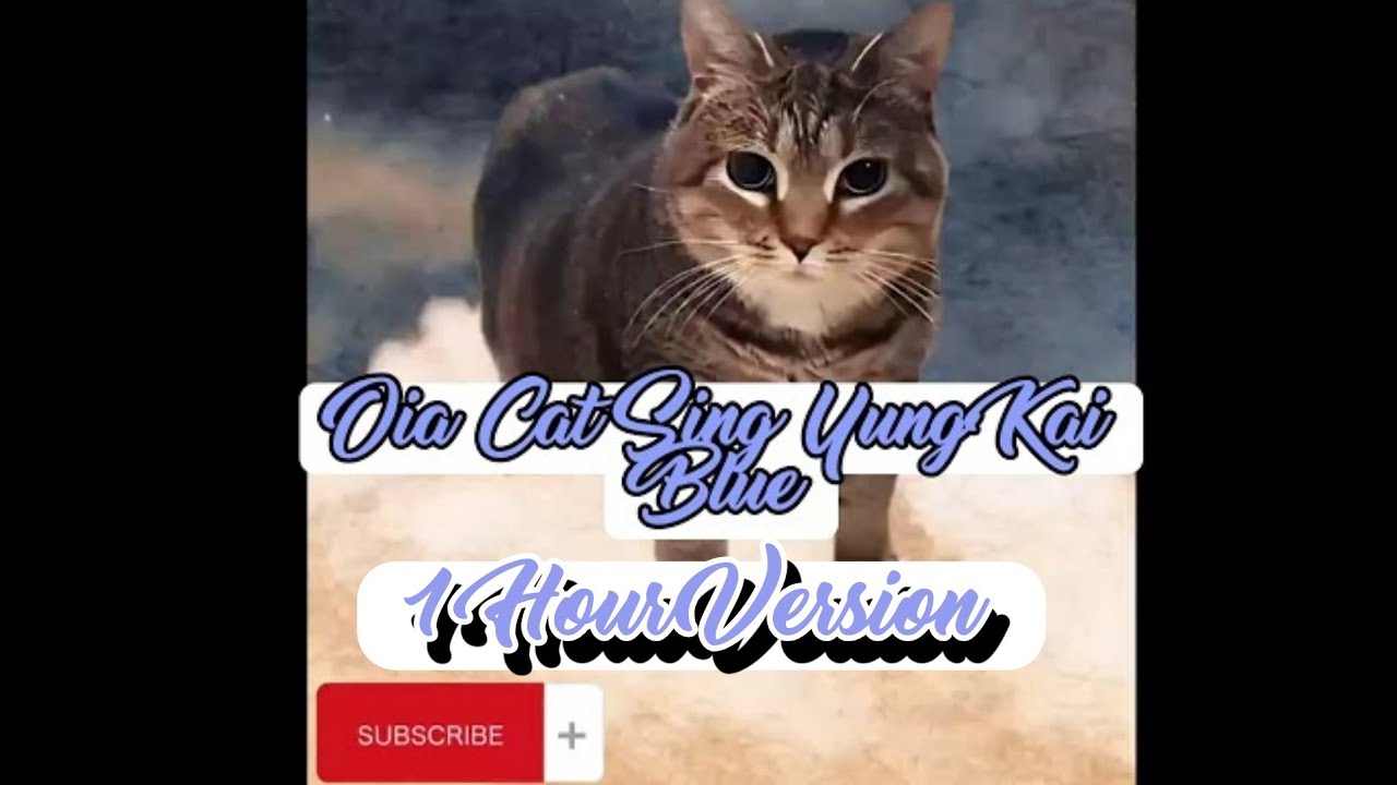 Yung Kai - Blue (Cover By Oia Cat) 1 Hour Version 🎧 #cat #catlover #sad #vibes #youtube