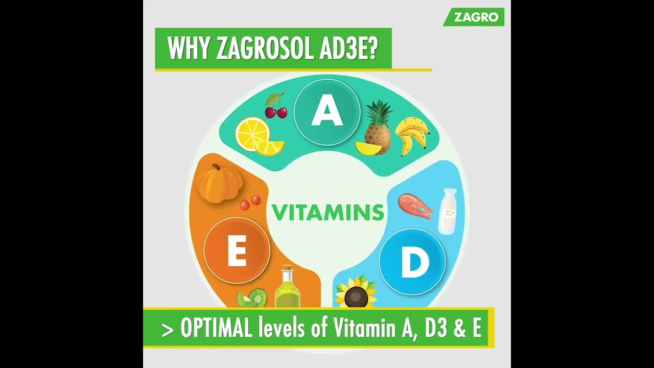 Zagrosol AD3E - Vitamin ADE