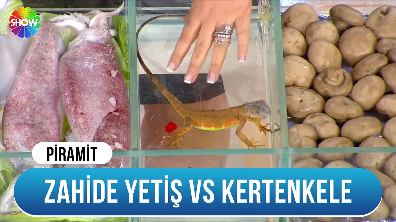 Zahide Yetiş, kertenkele ellerse... | Piramit
