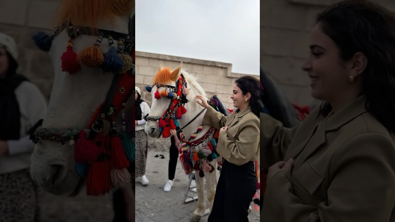 #zanaaslan #mardin