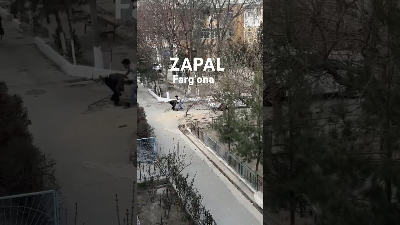 Zapal Farg‘onada             #shortvideo #rek #trending #uzbekistan