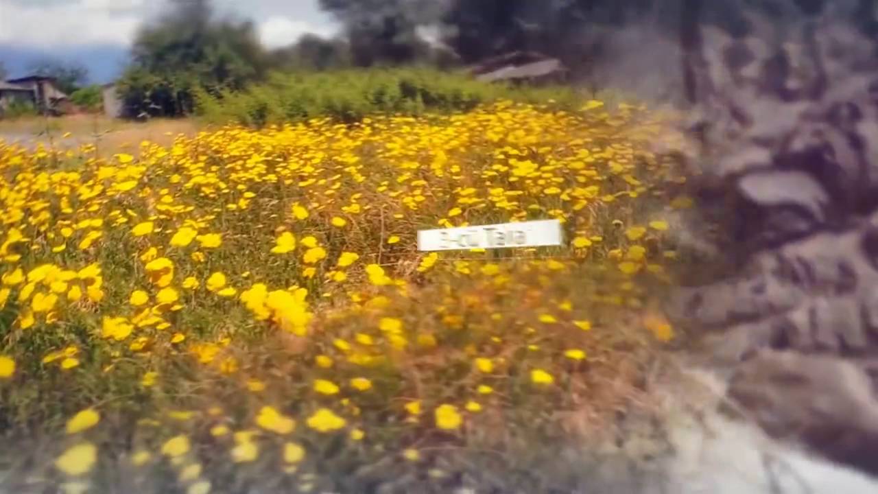 ZAQATALA  (Video Mənbə: www.zaqatala.ws)