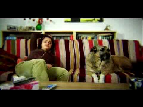 zari and the dog Panasonic lighting test DVX 100 AE