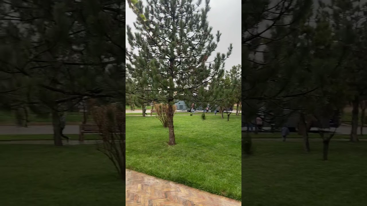 Özbekistan Taşkent