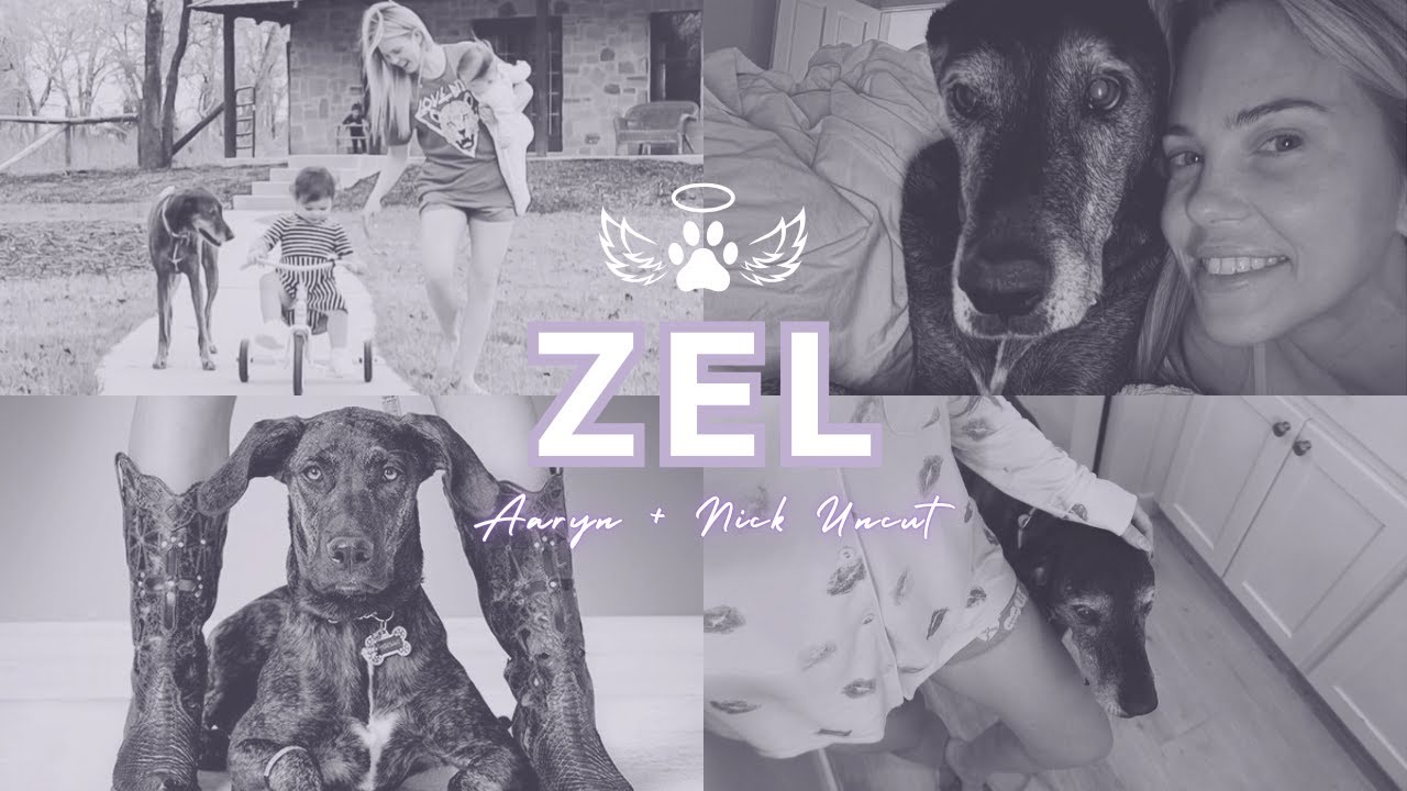 Zel 🐾🪽 | Aaryn Williams