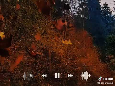 zeng ucun super muzik