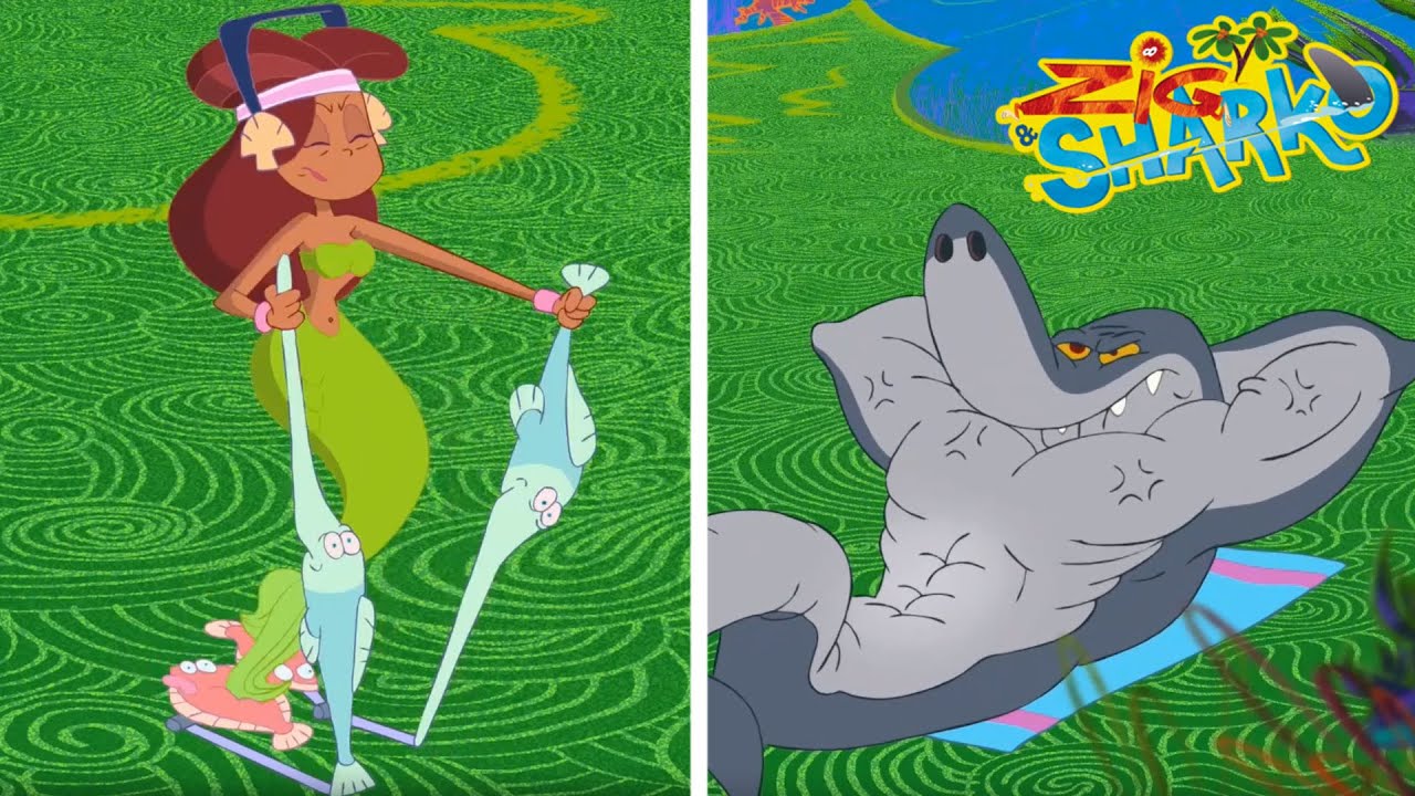 ZIG AND SHARKO | NO PAIN NO GAIN (SEASON 1) New episodes | Cartoon for kids