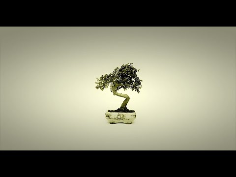 Zigeunerweisen, Op. 20 (by Pablo de Sarasate)  - SoHyun Ko (Violinist) & Allison Freeman (Pianist)